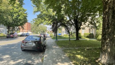 Avenues Georges et Frontenac